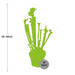 Sarracenia Juthatip Soper